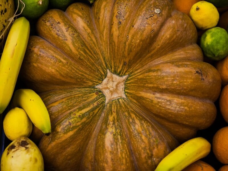 Astuces pour cuisiner des plats savoureux et sains