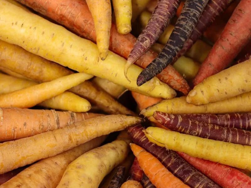 Cuisine et santé : allier plaisir et équilibre
