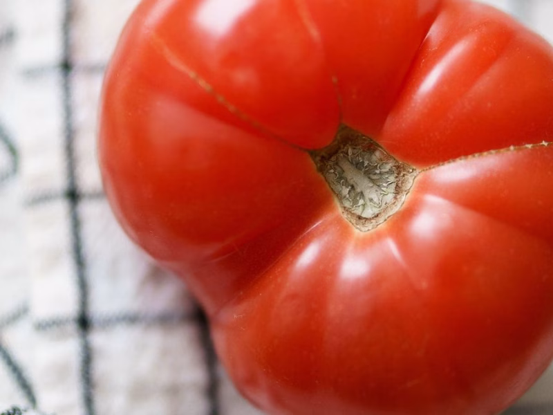 Recettes de saison faciles : préparez l’été sans stress