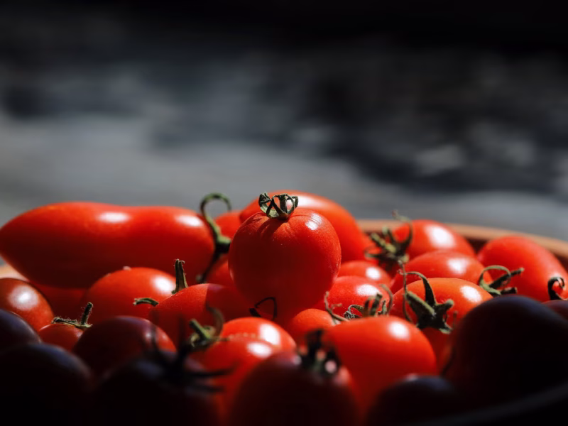 Cuisiner avec des tomates: variétés, conseils et recettes savoureuses