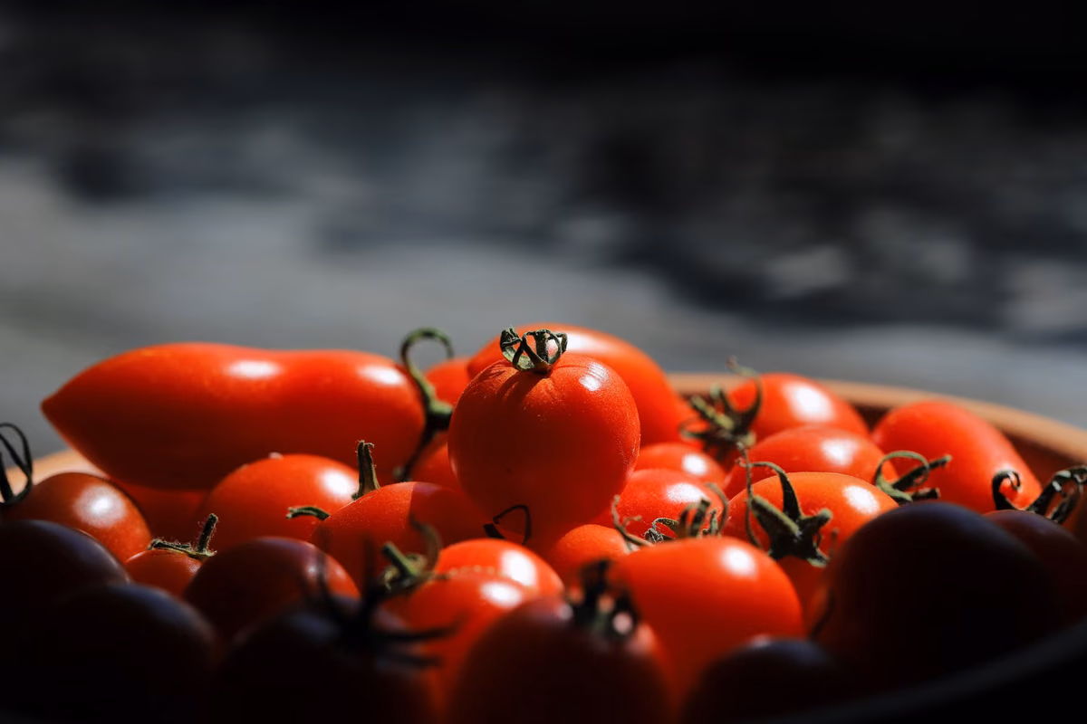 Cuisiner avec des tomates: variétés, conseils et recettes savoureuses